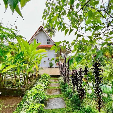 Pondok Is Oke Villa Scenic View Бануванги Екстериор снимка