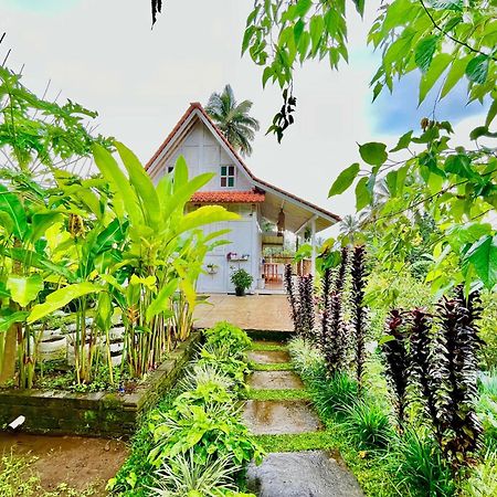 Pondok Is Oke Villa Scenic View Бануванги Екстериор снимка