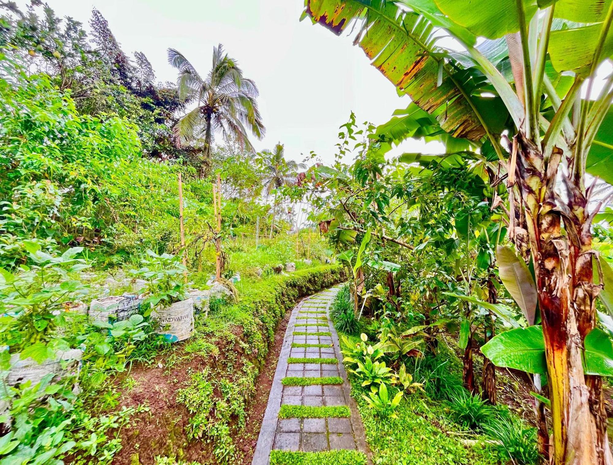 Pondok Is Oke Villa Scenic View Бануванги Екстериор снимка