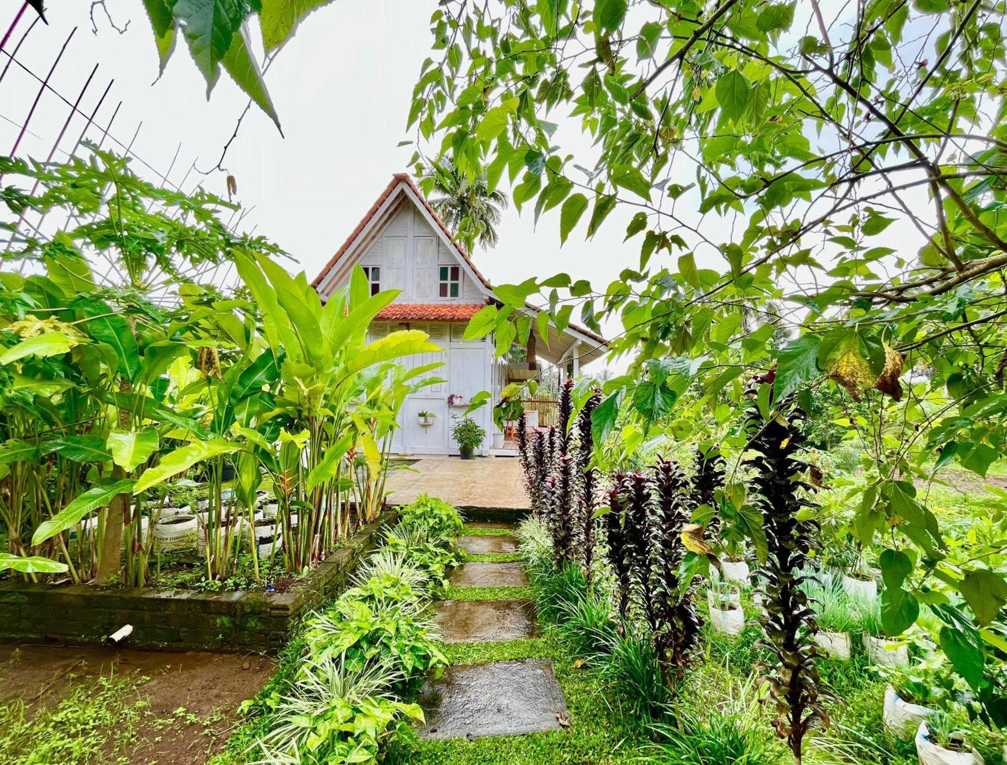 Pondok Is Oke Villa Scenic View Бануванги Екстериор снимка