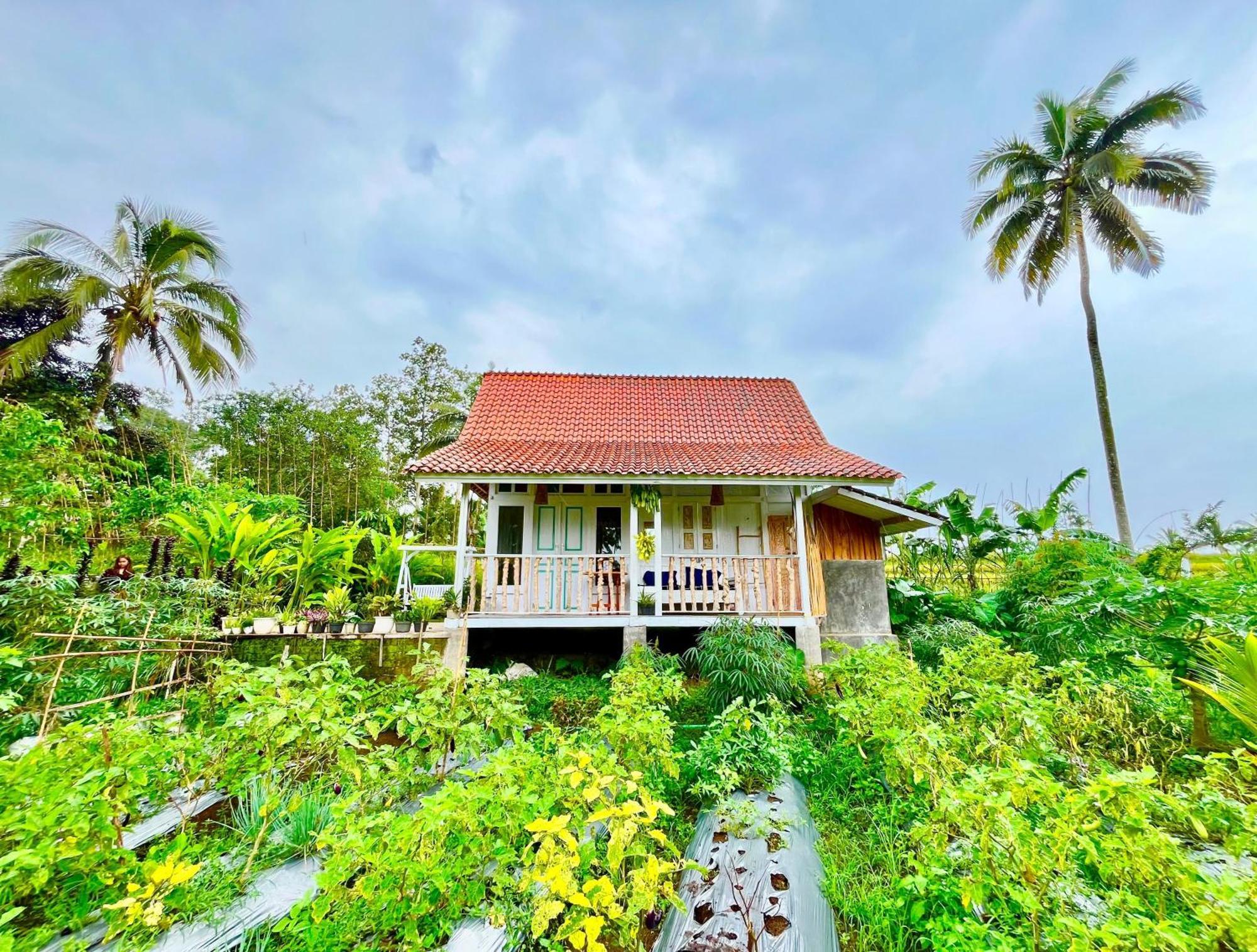 Pondok Is Oke Villa Scenic View Бануванги Екстериор снимка