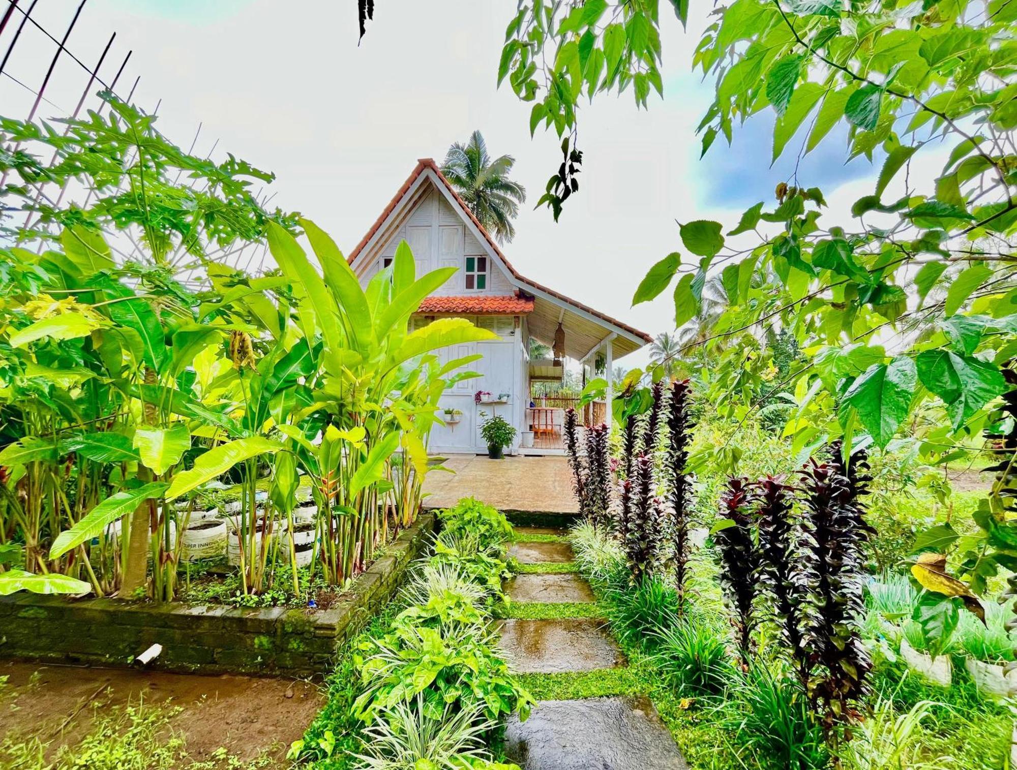 Pondok Is Oke Villa Scenic View Бануванги Екстериор снимка