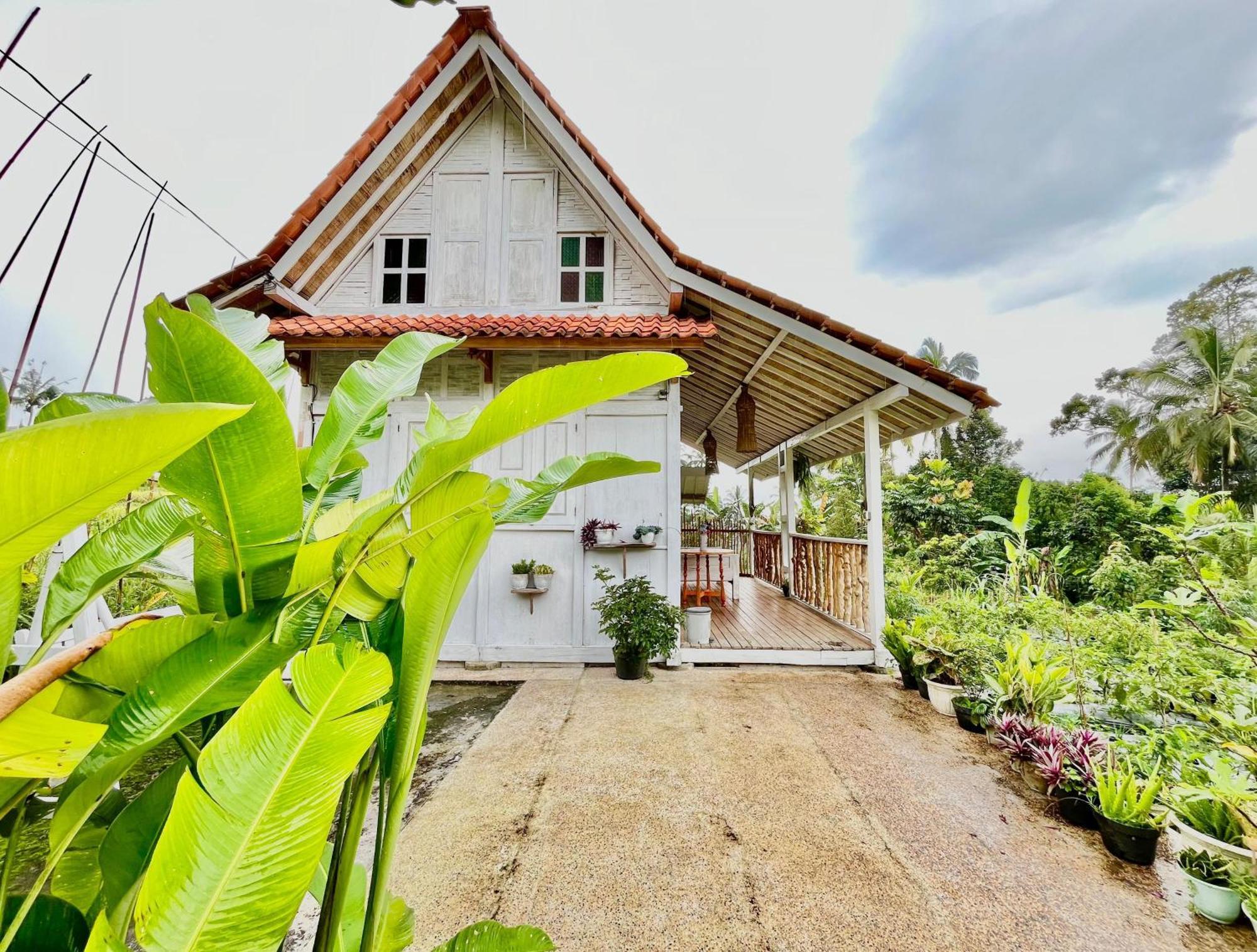 Pondok Is Oke Villa Scenic View Бануванги Екстериор снимка