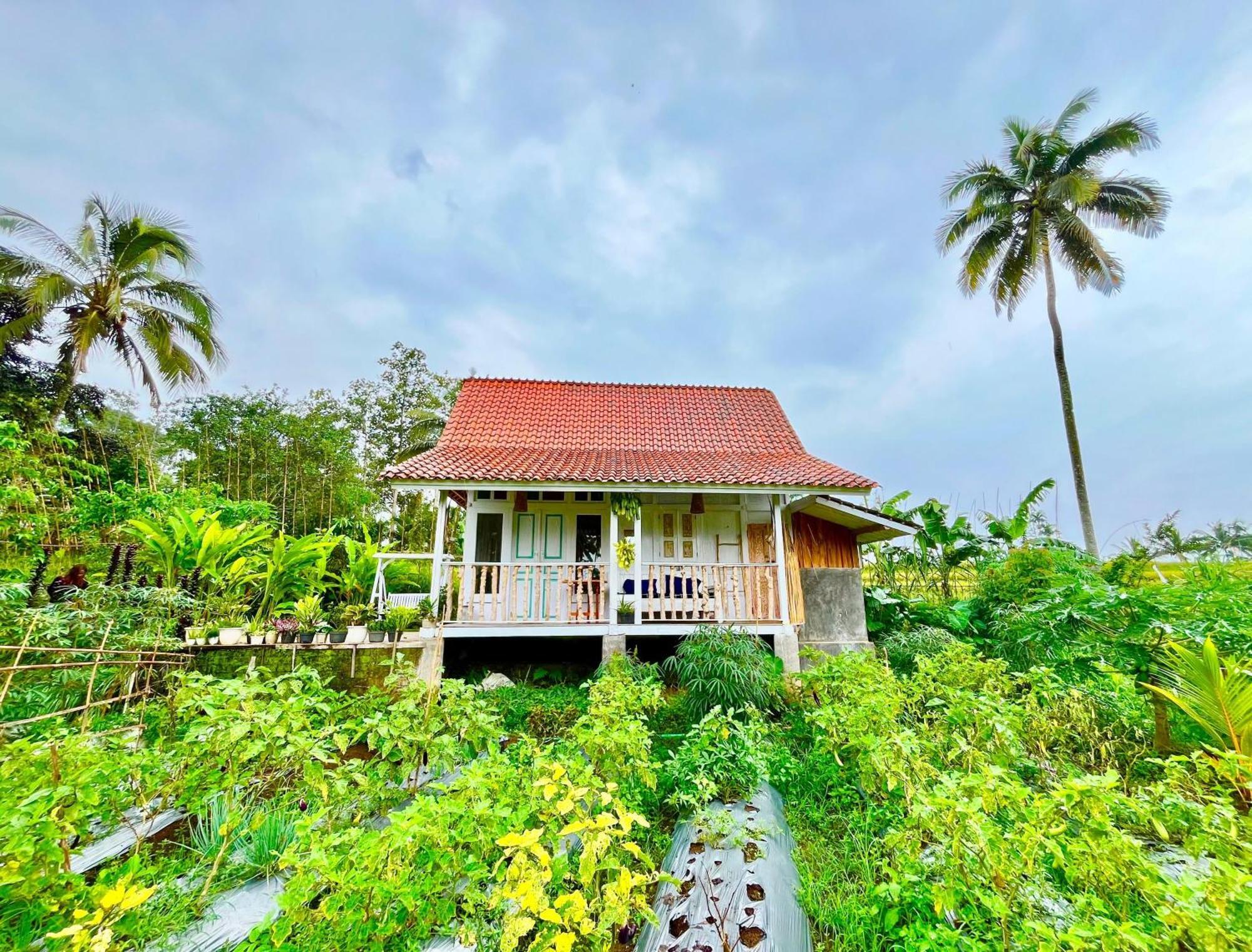 Pondok Is Oke Villa Scenic View Бануванги Екстериор снимка