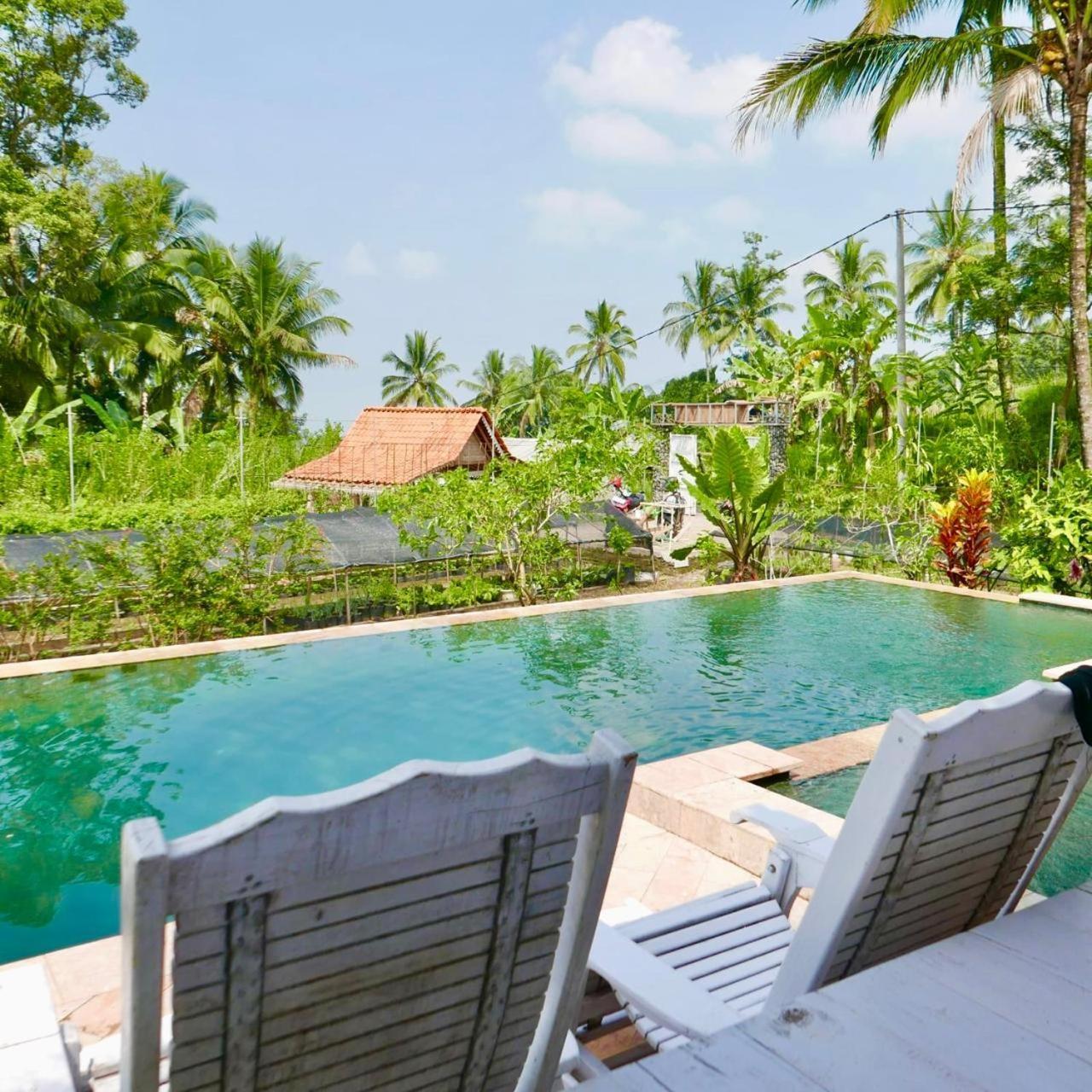 Pondok Is Oke Villa Scenic View Бануванги Екстериор снимка