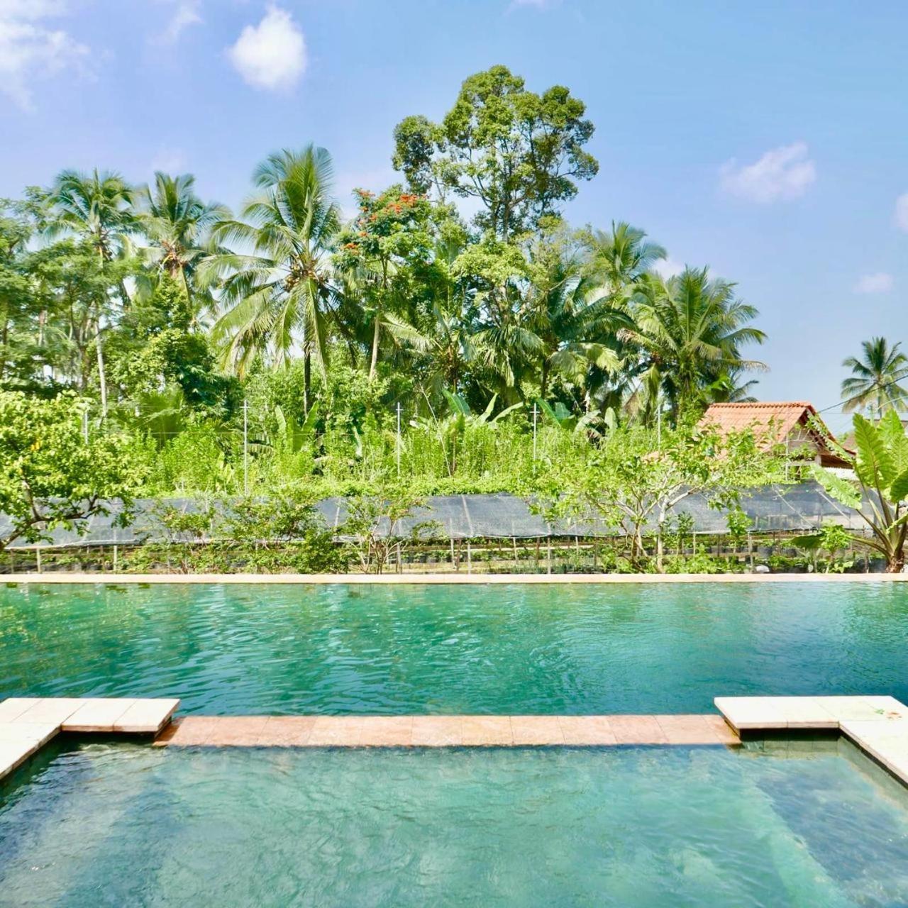 Pondok Is Oke Villa Scenic View Бануванги Екстериор снимка