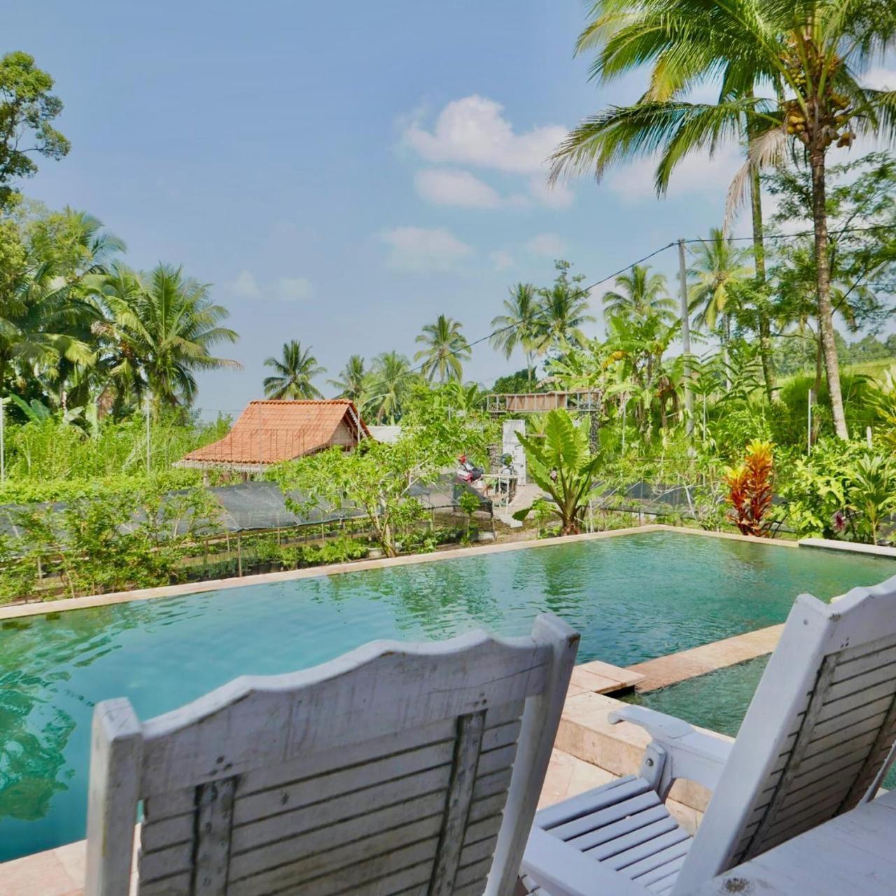 Pondok Is Oke Villa Scenic View Бануванги Екстериор снимка