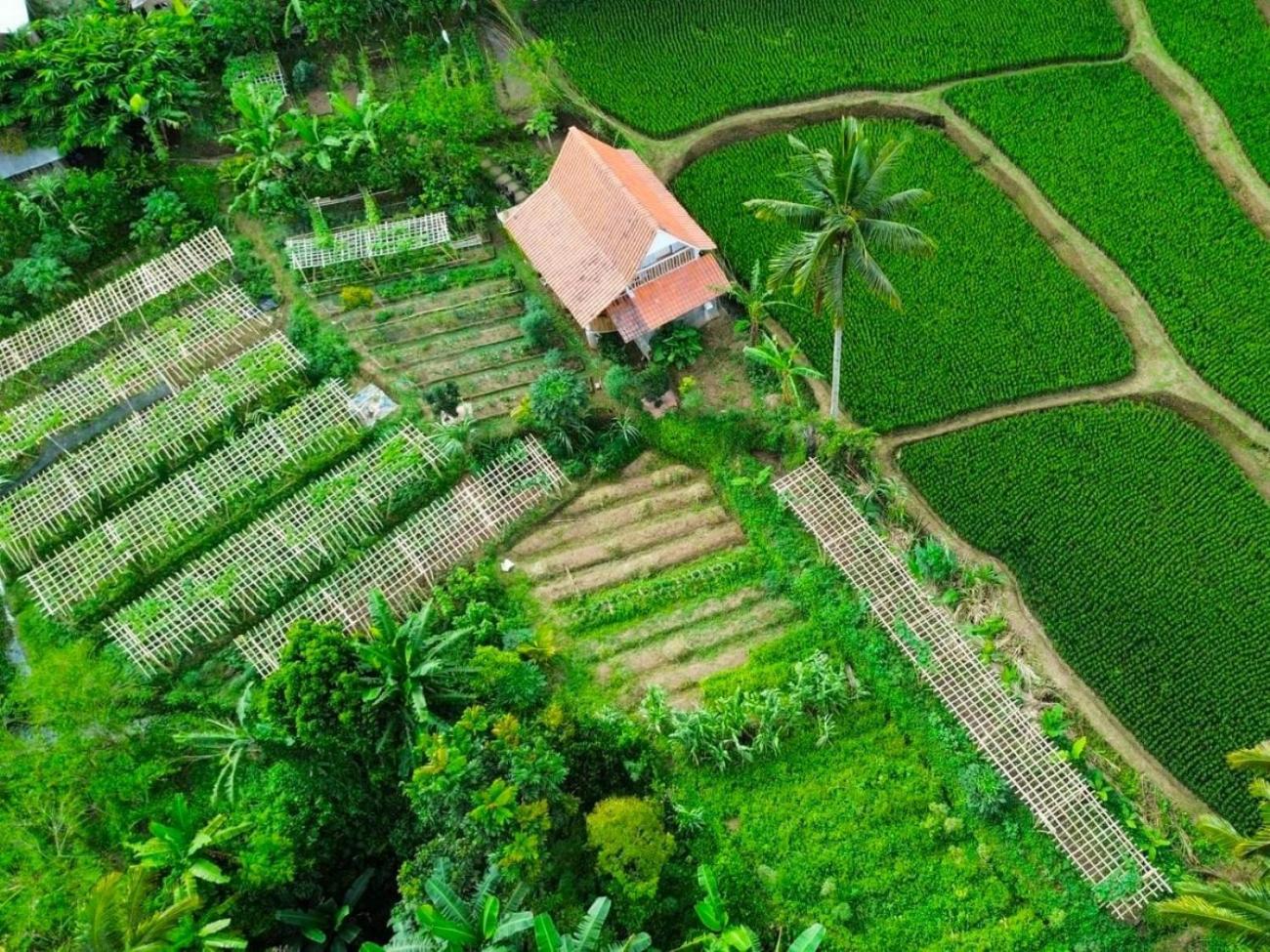 Pondok Is Oke Villa Scenic View Бануванги Екстериор снимка