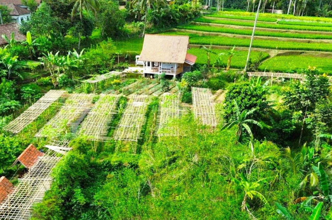 Pondok Is Oke Villa Scenic View Бануванги Екстериор снимка