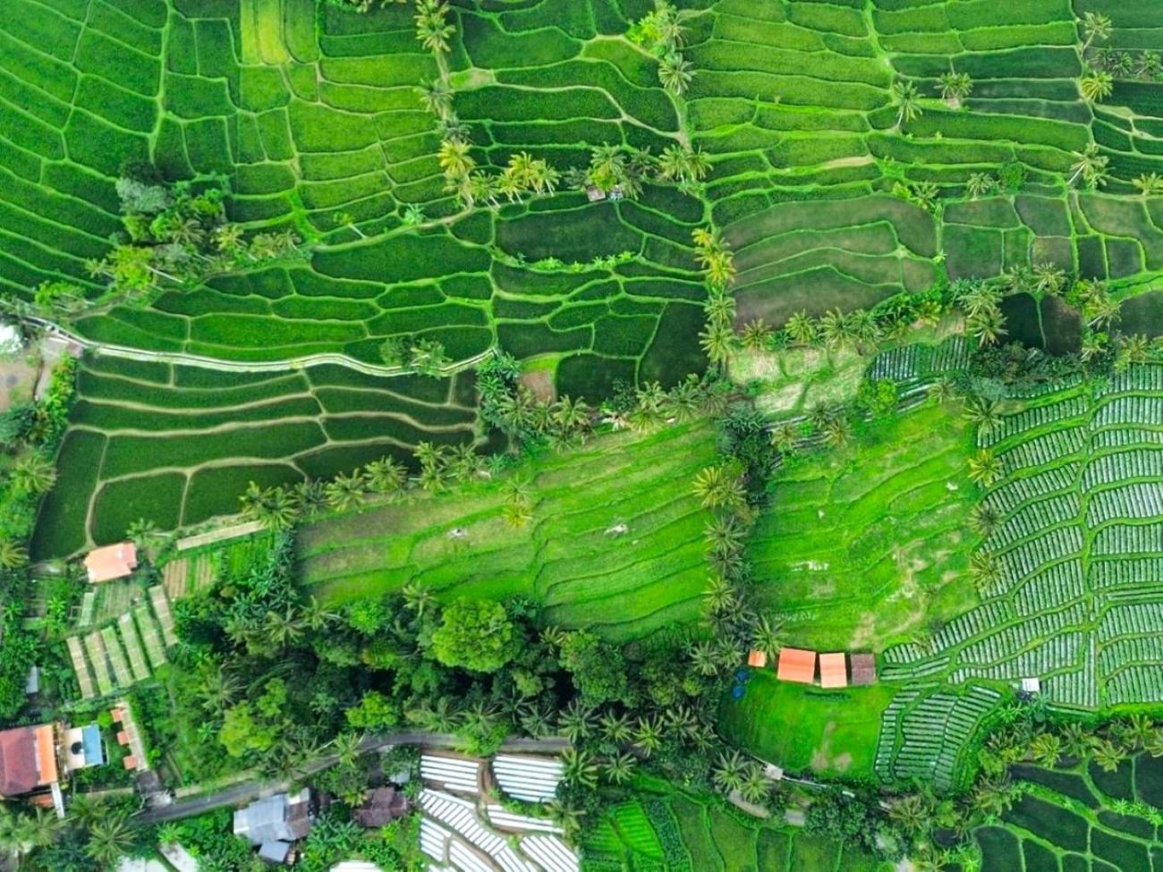 Pondok Is Oke Villa Scenic View Бануванги Екстериор снимка