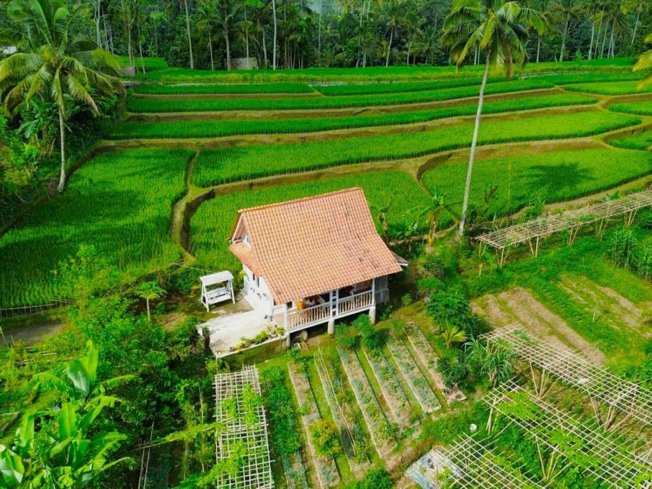 Pondok Is Oke Villa Scenic View Бануванги Екстериор снимка