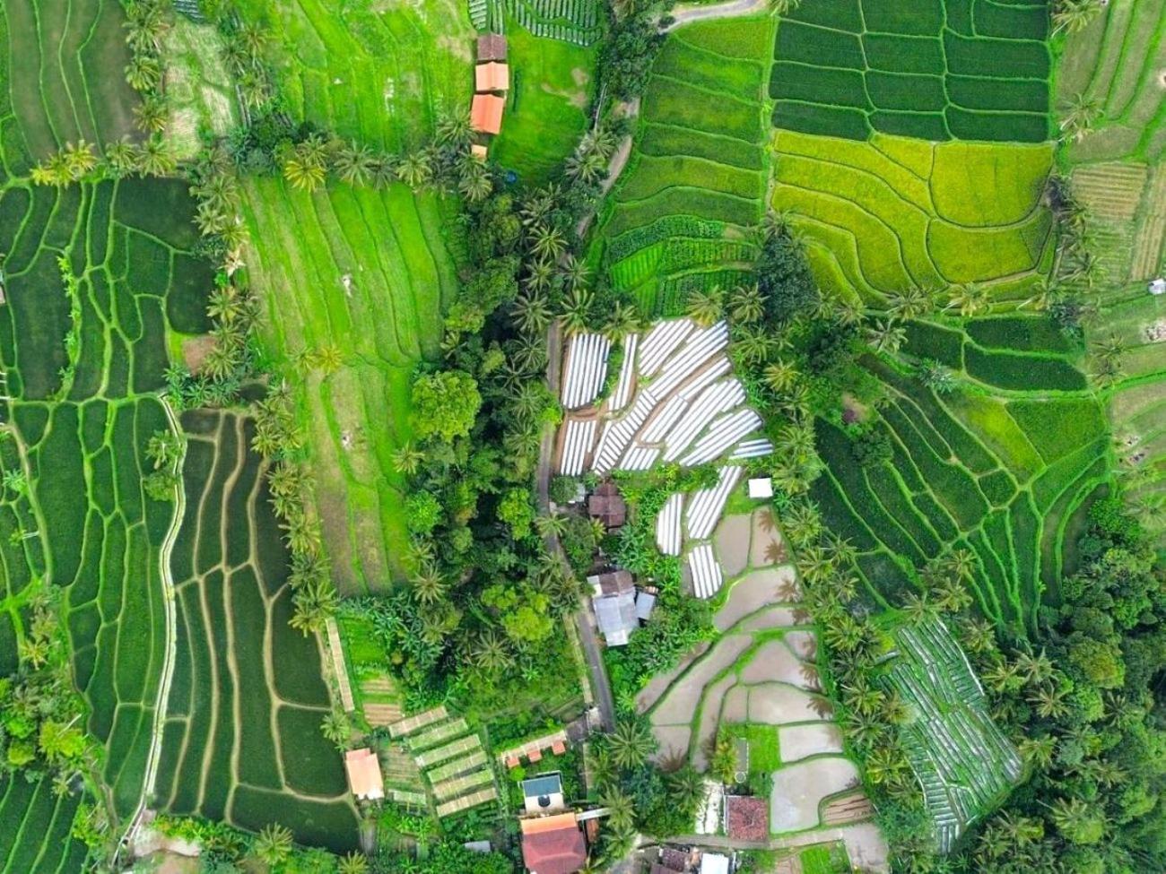 Pondok Is Oke Villa Scenic View Бануванги Екстериор снимка