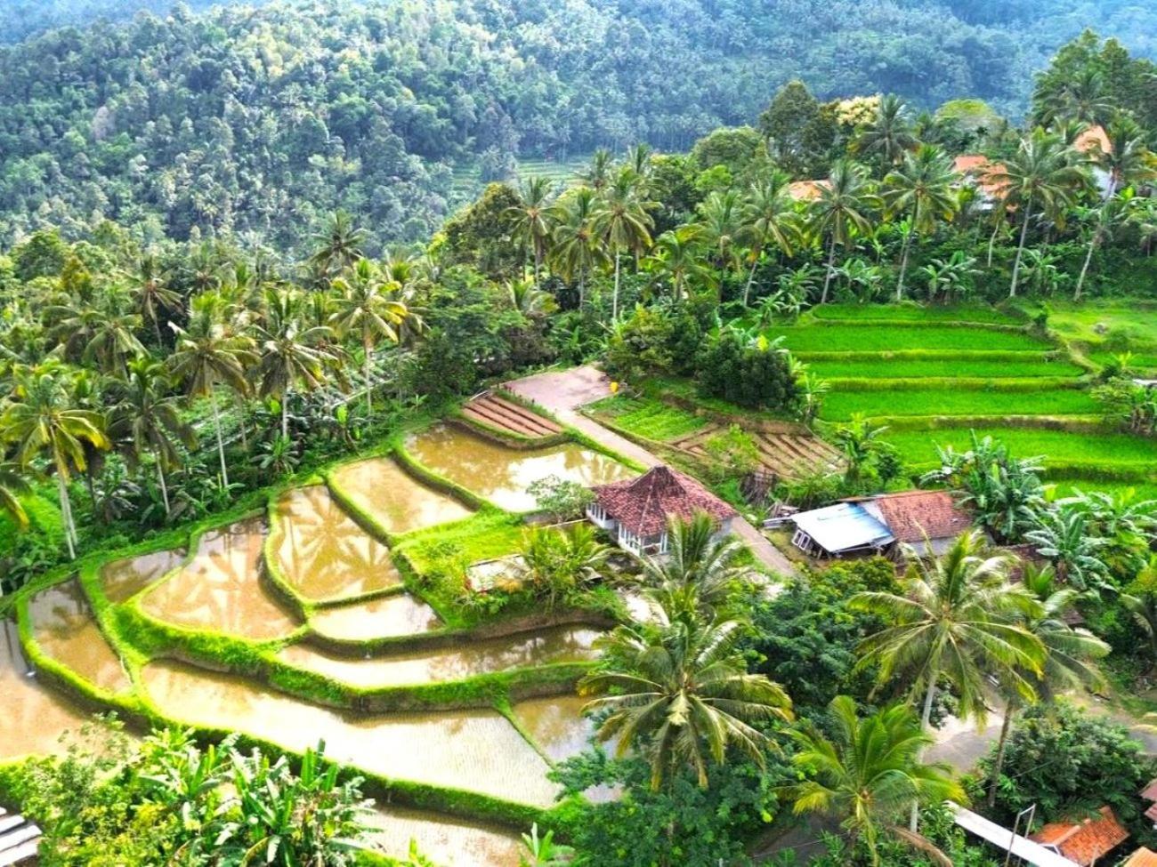Pondok Is Oke Villa Scenic View Бануванги Екстериор снимка
