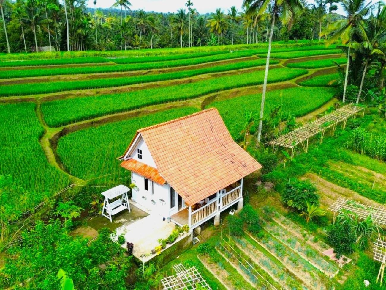 Pondok Is Oke Villa Scenic View Бануванги Екстериор снимка
